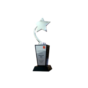 Wooden Award