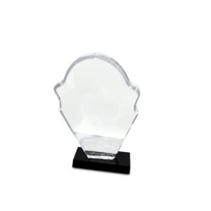 Acrylic Award — custom engraved acrylic award for corporate recognition and awards in Nigeria