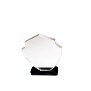 Acrylic Award — custom engraved acrylic award for corporate recognition and awards in Nigeria