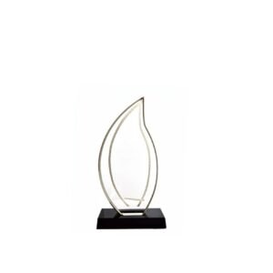 Acrylic Award — custom engraved acrylic award for corporate recognition and awards in Nigeria