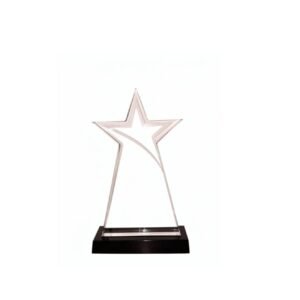 Acrylic Award — custom engraved acrylic award for corporate recognition and awards in Nigeria