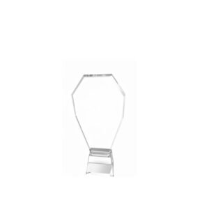 Crystal Award — custom engraved crystal award for corporate recognition and awards in Nigeria