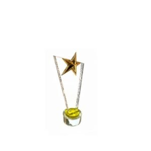Crystal Award — custom engraved crystal award for corporate recognition and awards in Nigeria