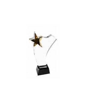 Crystal Award — custom engraved crystal award for corporate recognition and awards in Nigeria