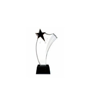 Crystal Award — custom engraved crystal award for corporate recognition and awards in Nigeria