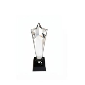 Crystal Award — custom engraved crystal award for corporate recognition and awards in Nigeria