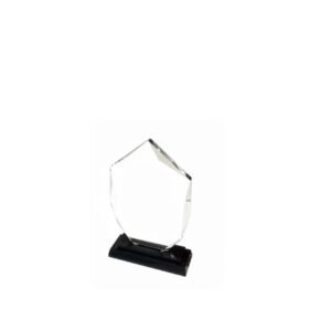 Crystal Award — custom engraved crystal award for corporate recognition and awards in Nigeria
