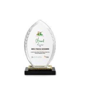 Crystal Award — custom engraved crystal award for corporate recognition and awards in Nigeria