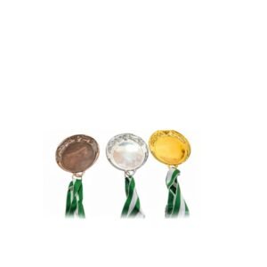 Medal — custom engraved custom medal for corporate recognition and awards in Nigeria