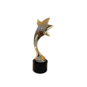 Trophy — custom engraved trophy award for corporate recognition and awards in Nigeria