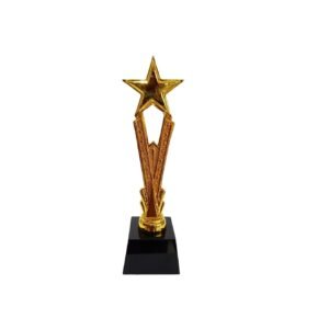 Trophy — custom engraved trophy award for corporate recognition and awards in Nigeria