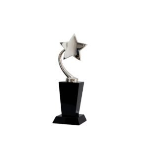 Trophy — custom engraved trophy award for corporate recognition and awards in Nigeria