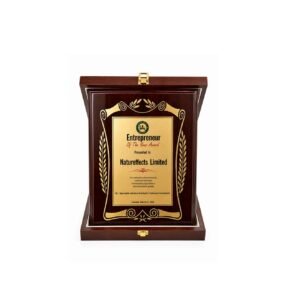 Wooden Award — custom engraved wooden award for corporate recognition and awards in Nigeria