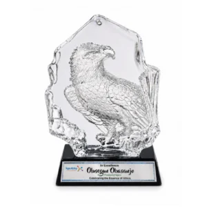 Celebrate excellence with our premium customized awards, beautifully designed and personalized for corporate events, recognition ceremonies, and special achievements. Customize with your company logo, recipient’s name, award title, date, and special message. Available in crystal, acrylic, glass, wooden, and metal designs, with professional engraving and printing options.
