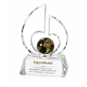 Customized Award